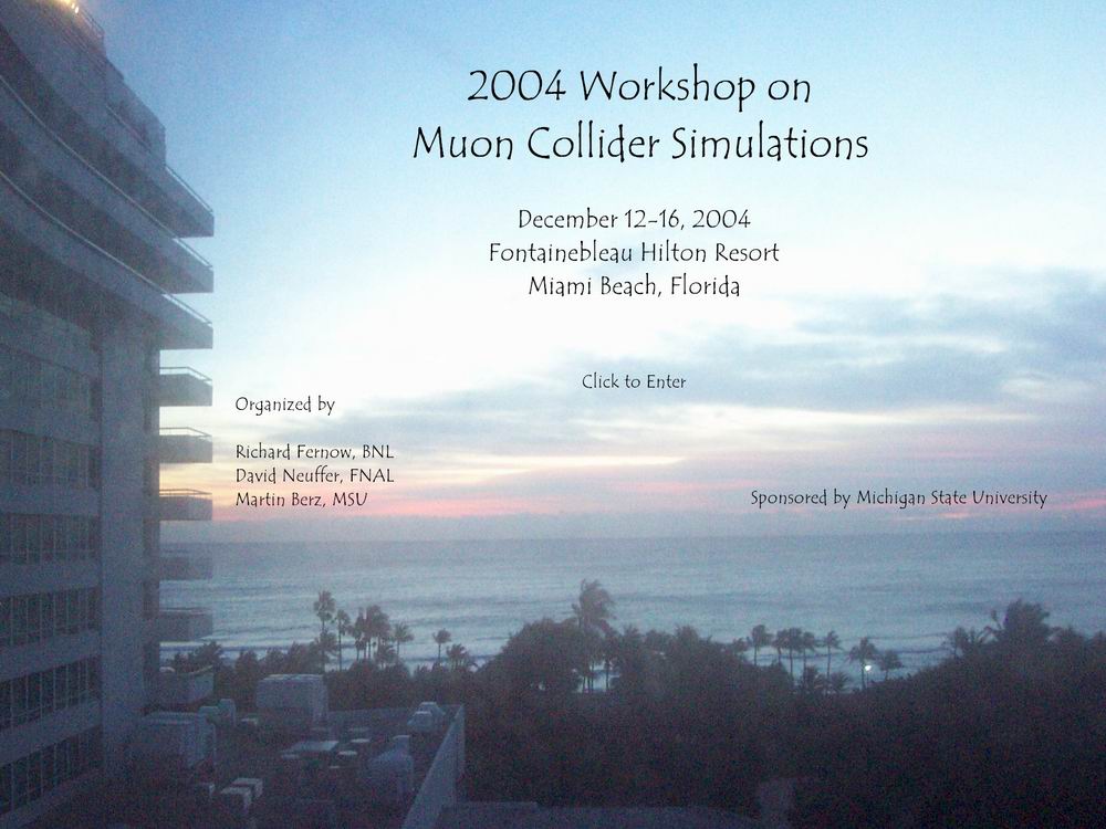 2004 WORKSHOP ON STATUS OF MUON COLLIDER SIMULATIONS 