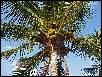 IMG_0708.jpg